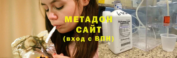 прущие грибы Абаза