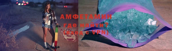 прущие грибы Абаза
