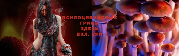 гидра Абинск