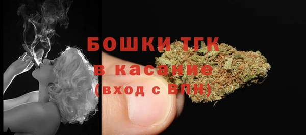 крисы Ростов