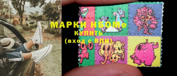 прущие грибы Абаза