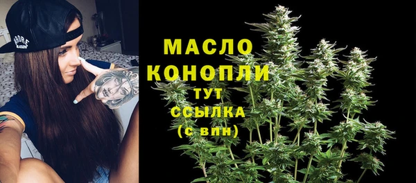 прущие грибы Абаза