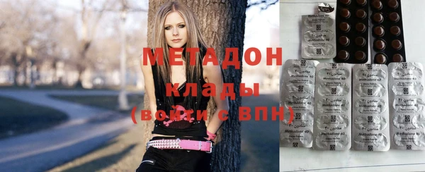 прущие грибы Абаза