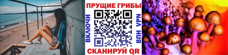 Галлюциногенные грибы MAGIC MUSHROOMS  закладки  Советский 